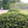 landscaping northern va