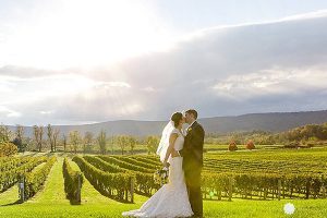 nova wedding venues