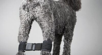 Rear Dog Leg Bobble System